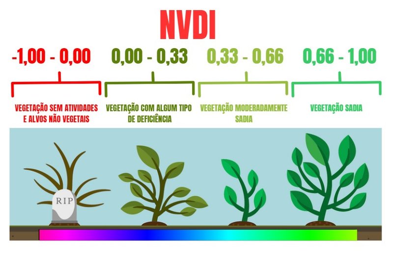 NVDI